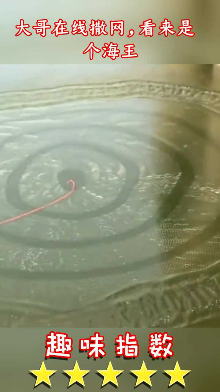 大哥在线撒网,看来是个海王