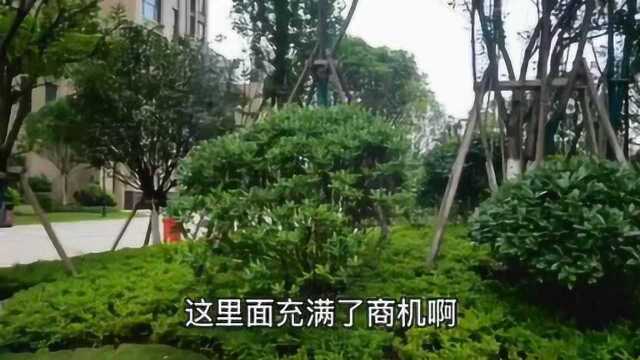 湘潭天元广场10栋现代风格装修设计效果图非常漂亮实用一起来看看吧