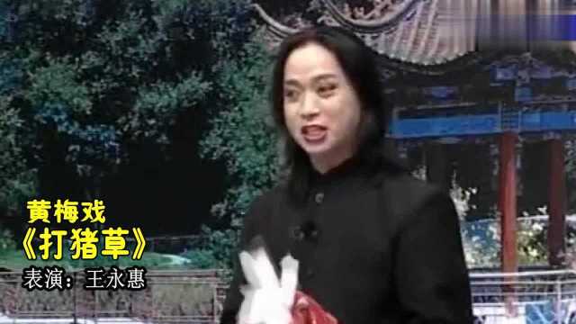 王永惠演唱黄梅戏《打猪草》