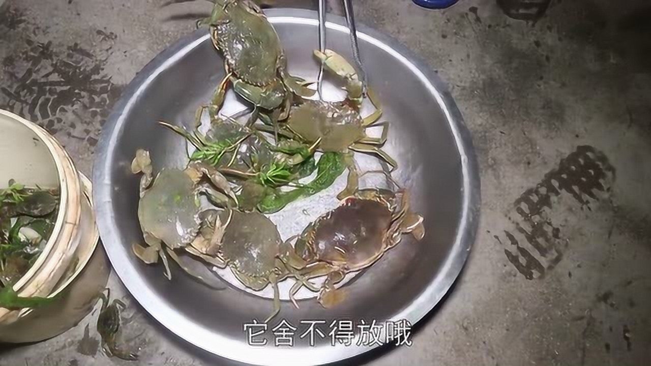 老四半夜和兄弟去趕海發現水裡有好多螃蟹吐泡今天抓嗨了