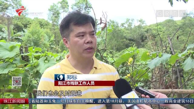 新闻特写:身残志坚 他靠养牛走上脱贫奔康路