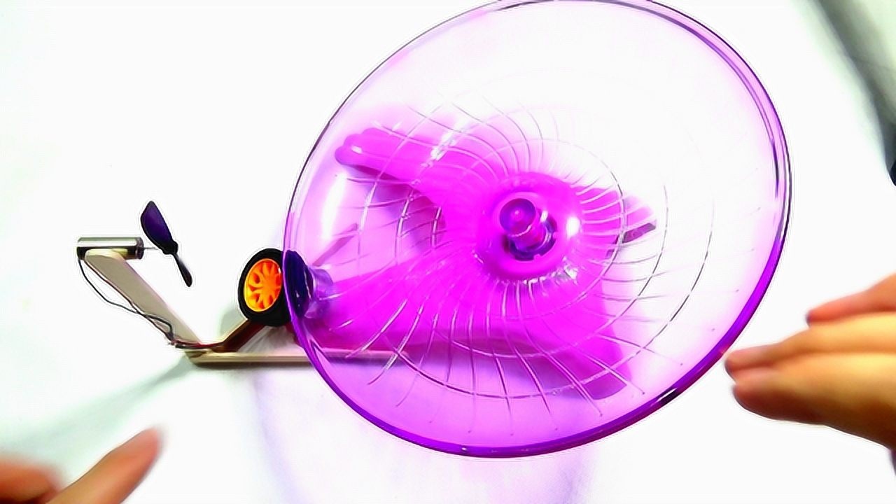 自制仓鼠跑步发电风扇,仓鼠夏天跑步散热神器