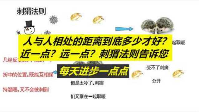 每天进步一点点——人之与人的距离多少才好?刺猬法则告诉您