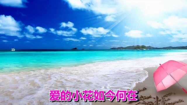 一首经典情歌《浪花》