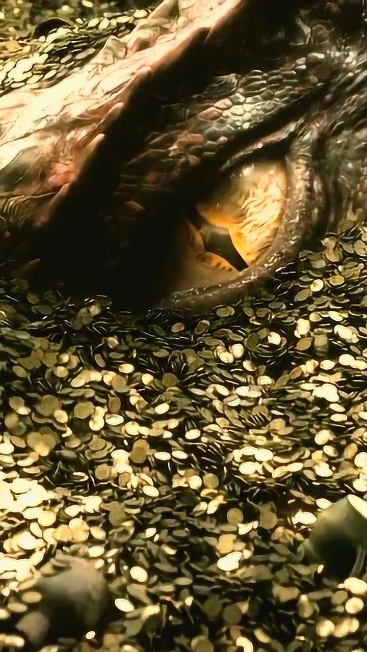 霍比特人-中士最后一条龙