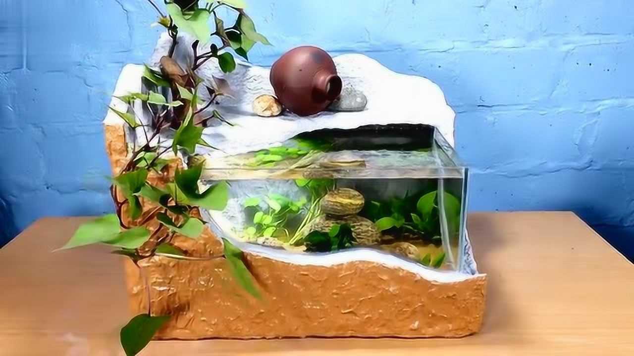 手工作坊用泡沫箱子做个帅气的鱼缸美观大方