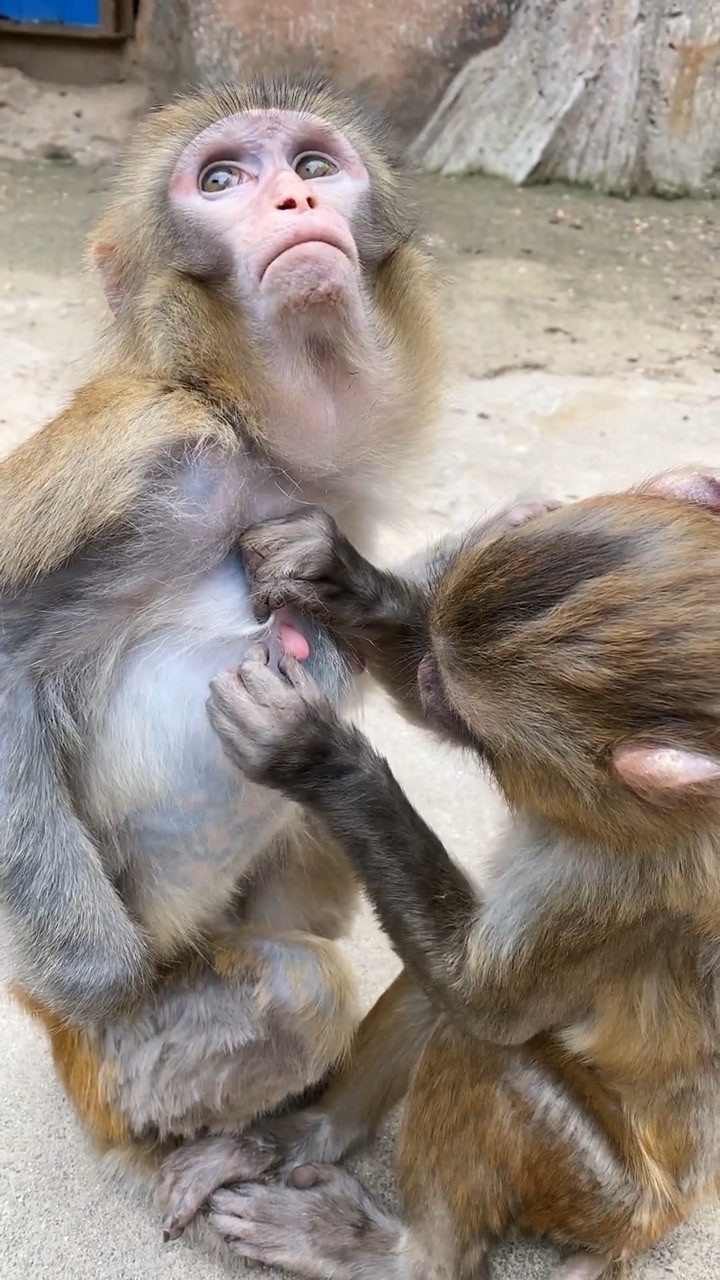 好温馨的弟弟给姐姐挠痒