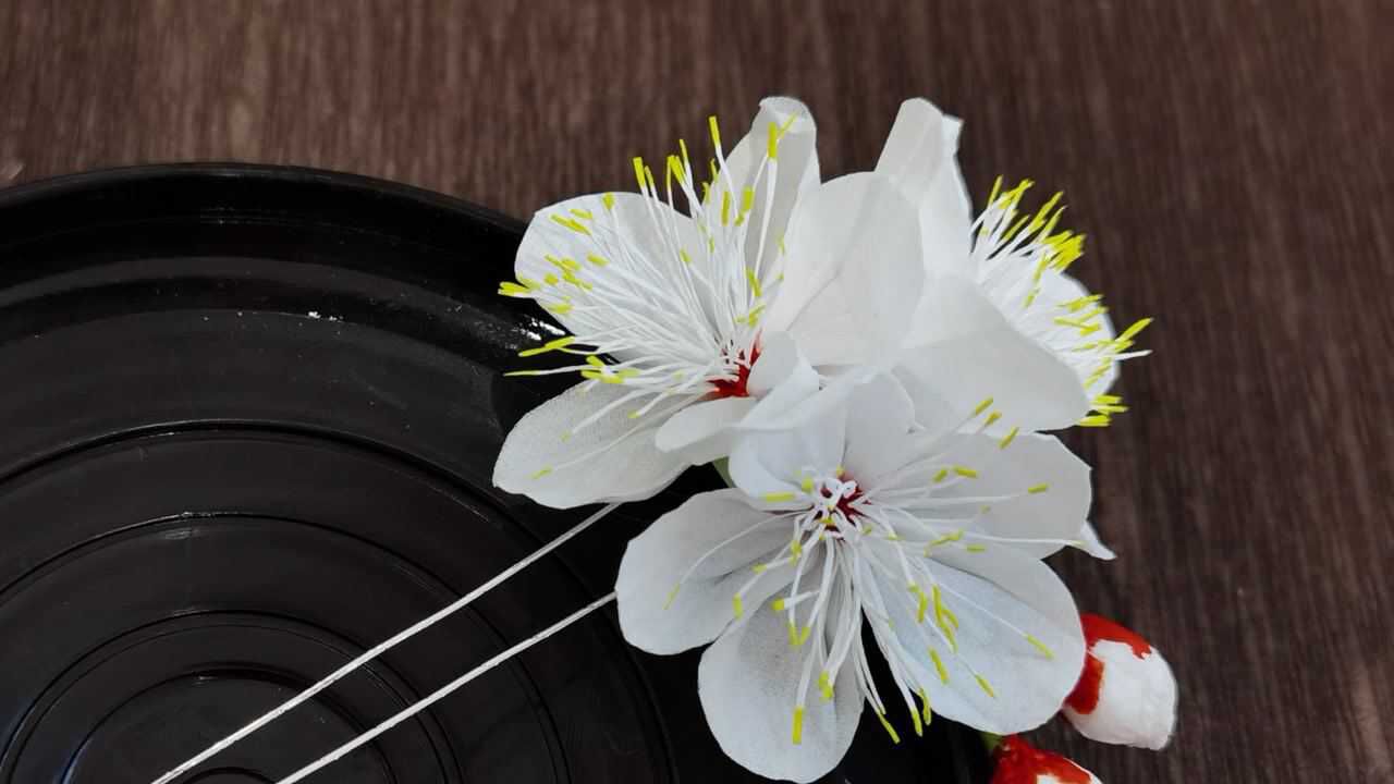 手工制作diy创意纸杏花教程