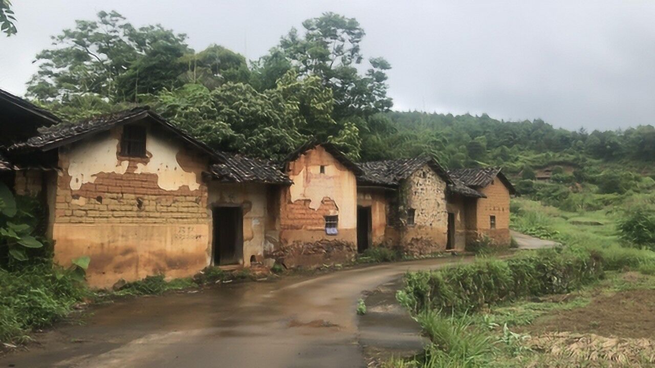 廣東大山裡的一個無人村,千畝良田沒人開發利用,搞養殖的好地方