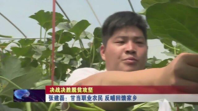 张建磊:甘当职业农民