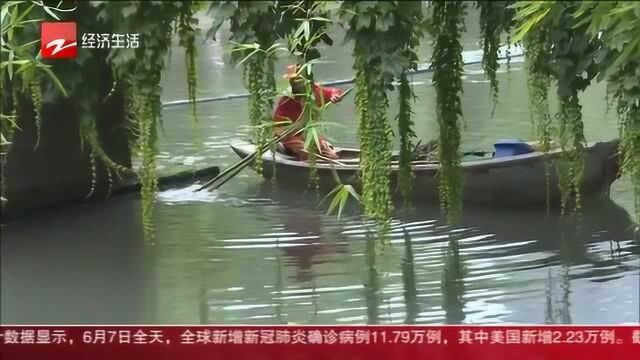 记者实测:杭州其他河道“河长”电话打得通吗?