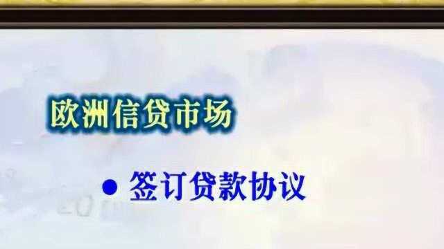 国际金融48 国际金融市场(三)