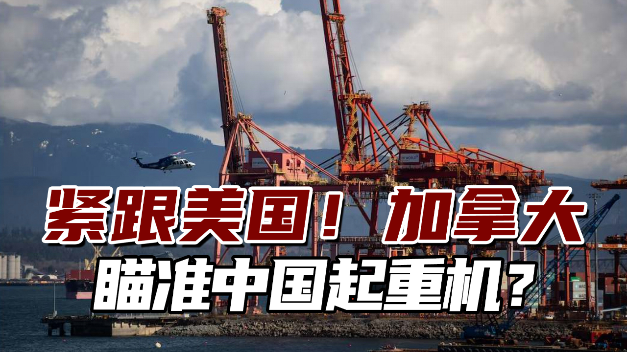 加拿大瞄准中国起重机?评估是否构成"国家安全风险"