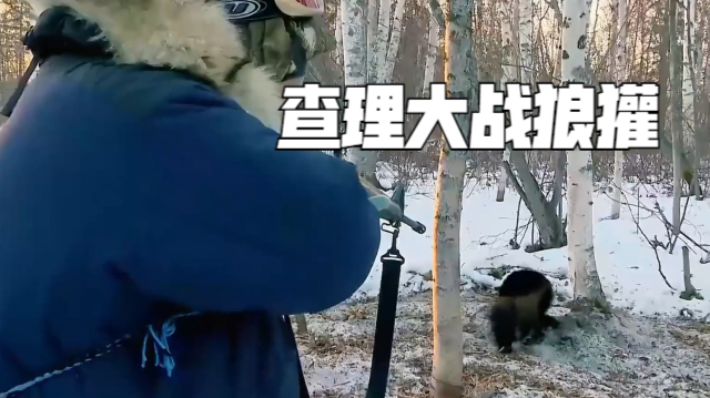 育空冰雪生活全集图片