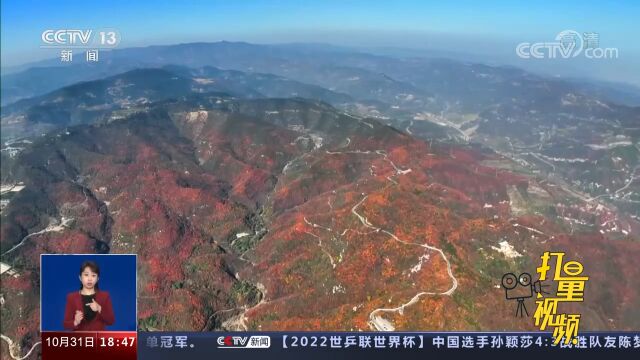 山西太原:从空中鸟瞰西山秋色,美景如画