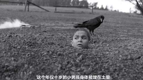 《被涂污的鸟》一个无名小男孩在东欧躲避战火的悲惨经历