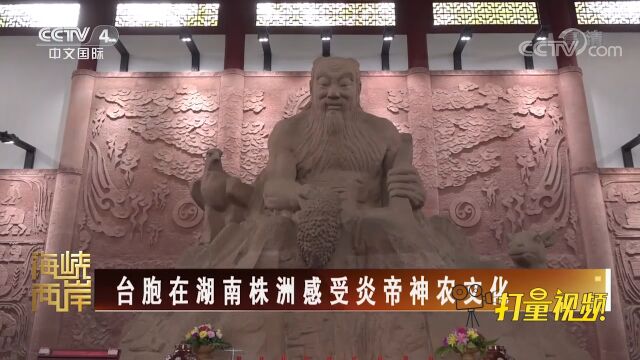 台胞在湖南株洲感受炎帝神农文化