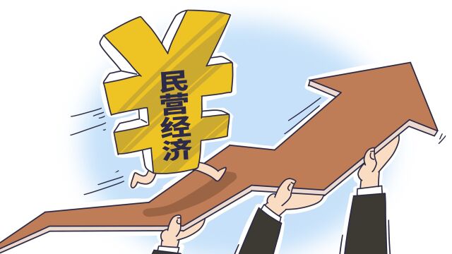 问政中国|洪琳:民营企业是“自己人” 没有道理不搞好