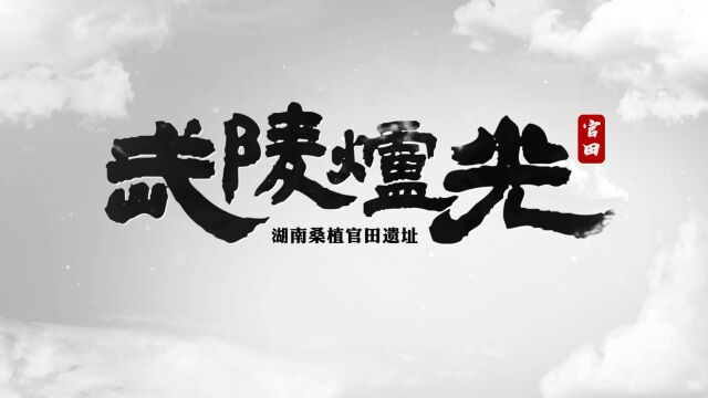 2022十大考古新发现推介:湖南桑植官田遗址