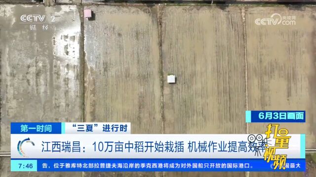 江西瑞昌:10万亩中稻开始栽插,机械作业提高效率