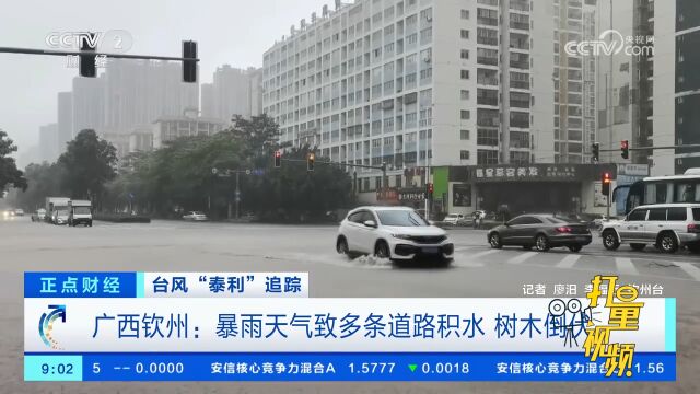 广西钦州:暴雨天气致多条道路积水,树木倒伏