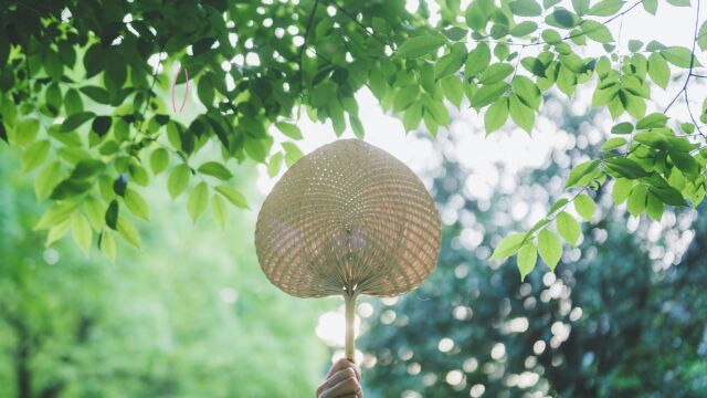 主打闷热,雷雨交加,暑气如“蒸笼”!