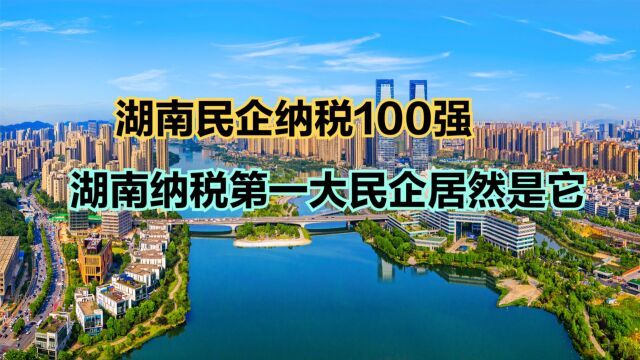 2022湖南民企纳税100强,比亚迪第3,三一集团第2,第一名没想到