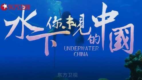 《水下·你未见的中国》东方卫视9.30将播 探索水下历史奇观