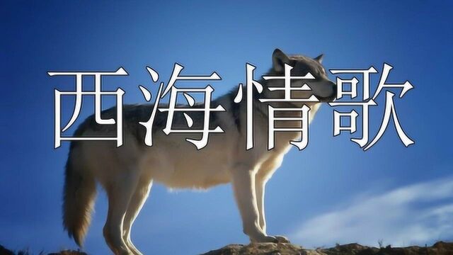 西海情歌 悦听mv