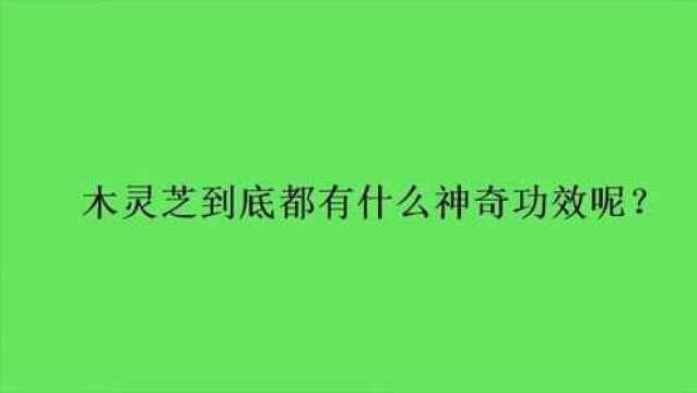 木灵芝到底都有什么神奇功效呢?