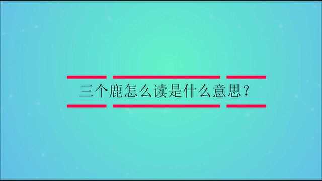 三个鹿怎么读是什么意思?