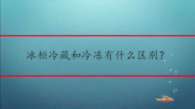 冰柜冷藏和冷冻有什么区别?