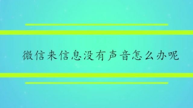 微信来信息没有声音怎么办呢