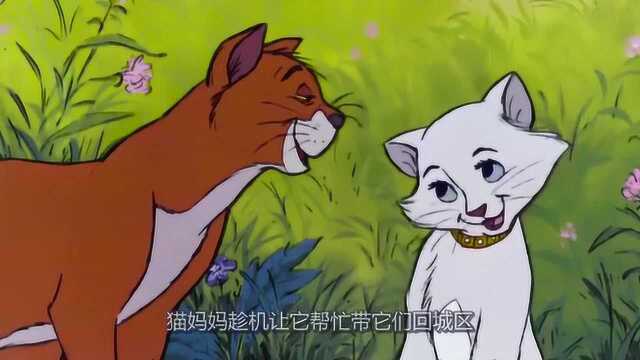 电影:猫儿历险记,女主人将百万财产留给了家里的宠物猫