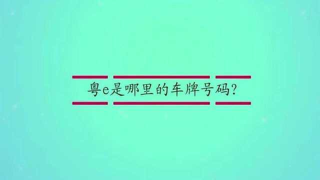 粤e是哪里的车牌号码?