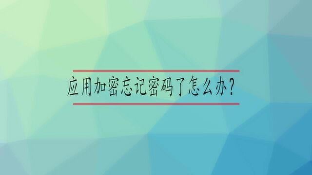 应用加密忘记密码了怎么办?