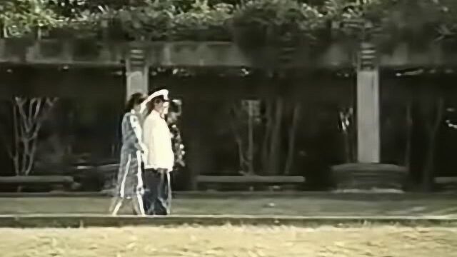 1985年电影,梅山奇案