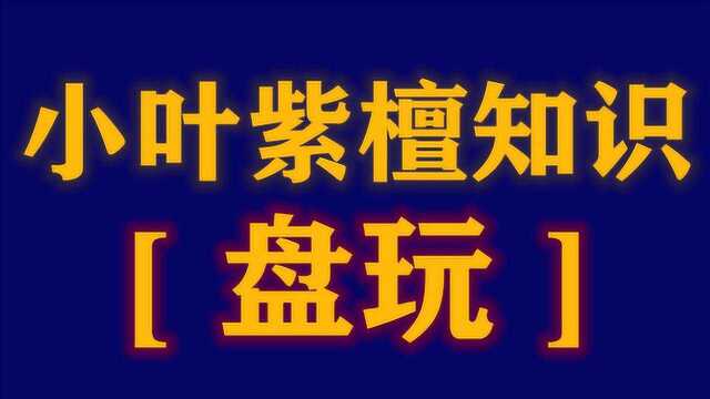 小叶紫檀佛珠盘玩方法技巧步骤这样盘手串教你完美包浆