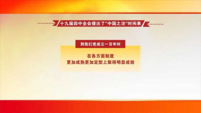 “总体目标”呼应中国特色社会主义制度发展的三个阶段