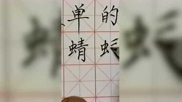 阳光下蜻蜓飞过来一片片绿油油的稻田