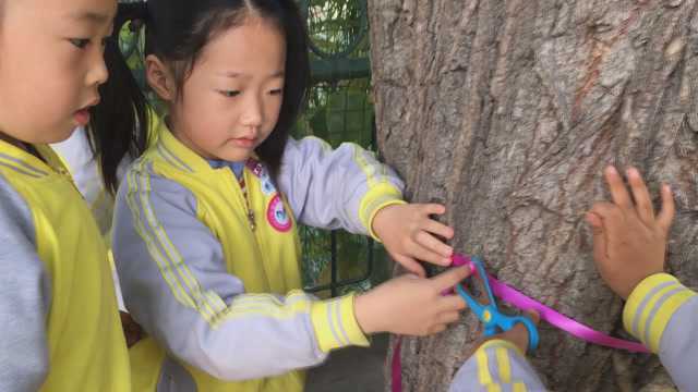 有趣的测量 宁阳县第二实验幼儿园