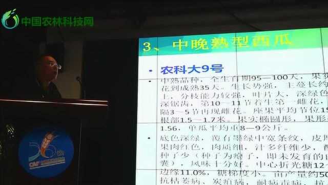 西北农林科技大学张显教授:设施瓜菜新品种与栽培技术之西瓜篇