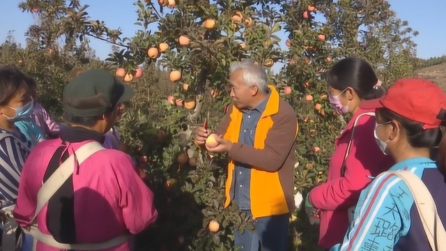 孙建设:串起“苹果产业链” 闯出山区致富路