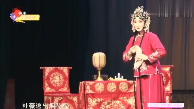 你可能没看过,河北梆子90后青衣演员的佼佼者张警月视频介绍