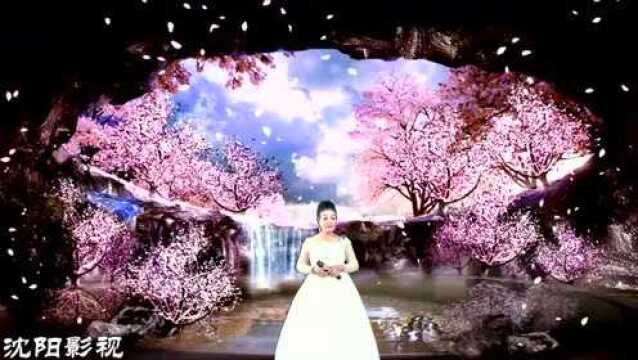 杨立华演唱《芦花》声情并茂情感真