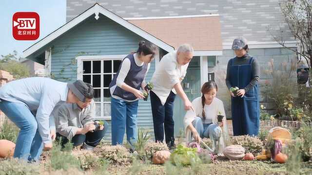 9位“花友”百万元租别墅种花 “我们要打造西安最美的花园”