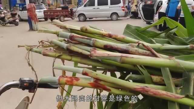 大妈拉了一车甜杆在街上卖,它是小时候零食,现在很少见,大家抢着买