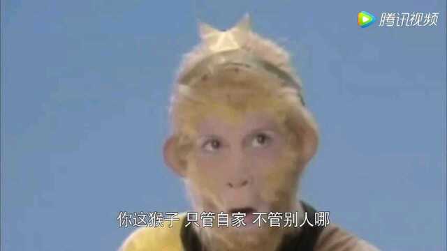 西游记之孙猴子