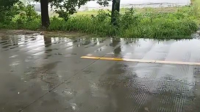 雨中江南风景如画,最爱雨中漫步,很浪漫