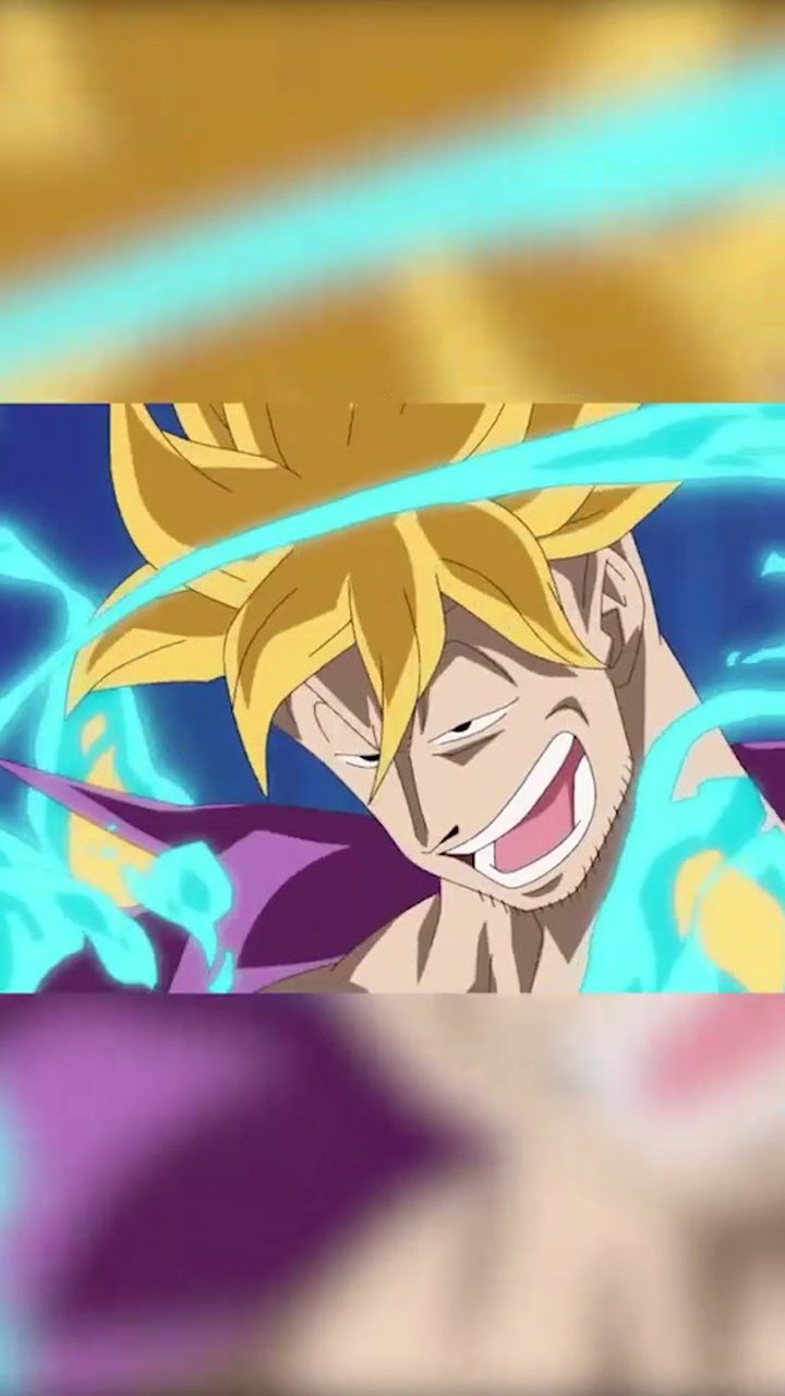 白胡子海贼团一番队长马尔科可有人中意?